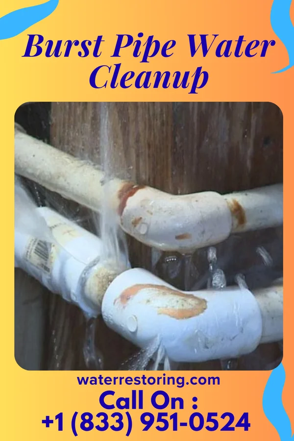 Burst Pipe Water Cleanup in West Chicago, IL