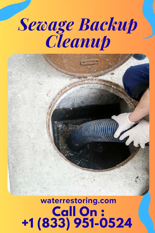 Sewage Backup Cleanup in West Chicago, IL