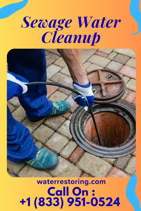 Sewage Water Cleanup in West Chicago, IL